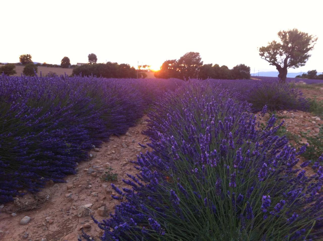 Vaumeilh Le Petit Caboulot En Pleine Nature מראה חיצוני תמונה